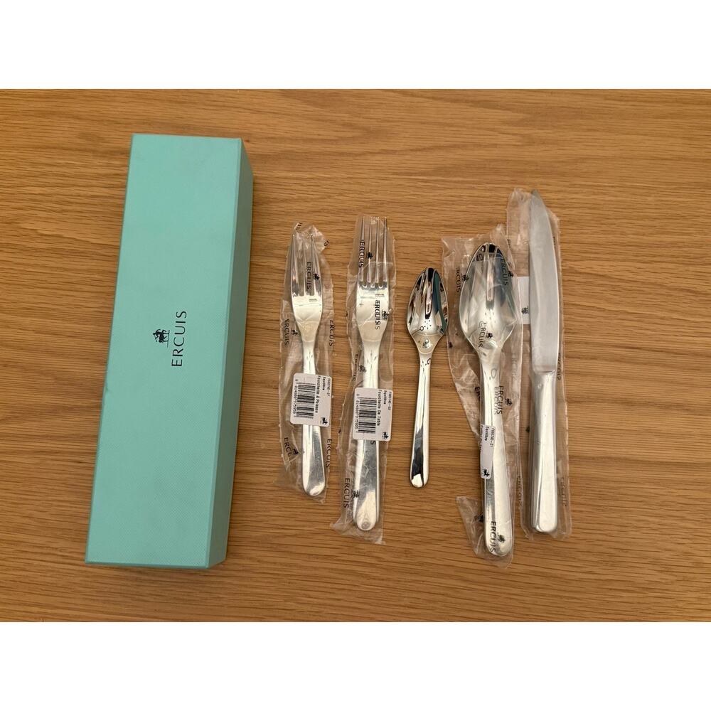 Ercuis France Equilibre 5 Piece Flatware Place Setting $270 Stainless Steel NEW